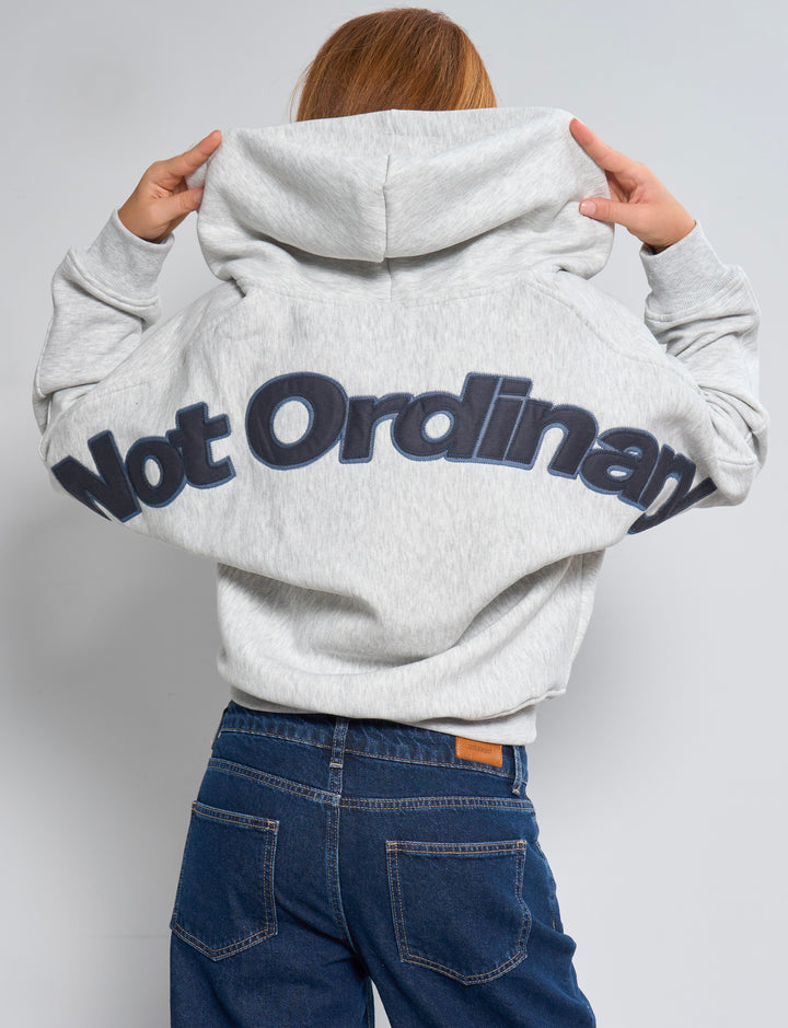 Felpa crop grigia con scritta "Not Ordinary" retro